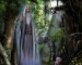 The Druids : Brahmins of Ancient Europe