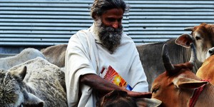 Swami Radhakant Vats : A Sanyasin DharmaYudha Against Adharma
