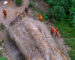 ‘lost’ Amazon tribals are ‘killed, chopped up and thrown in river by Gold miners