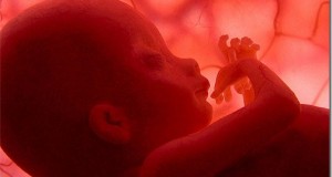 Hindu Religious Quotes on Abortion