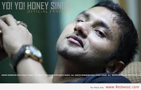 http://www.hinduhumanrights.info/wp-content/uploads/2012/12/yo-yo-wanker-honey-singh.jpeg