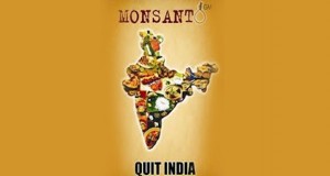Dealing with the Asuras of Monsanto