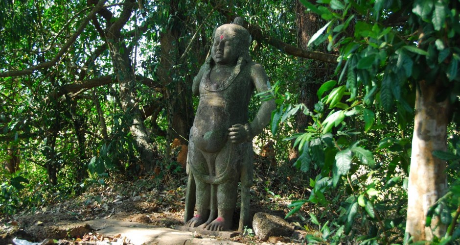 De-Hinduisation : ‘Sacred Groves at Risk as Faith Erodes’