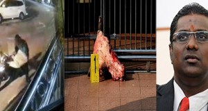 Video Footage : Cow’s head being left outside Hindu Politicians House