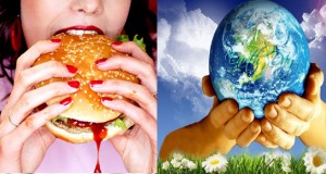 Stop Eating Mother Cow to Save Mother Earth