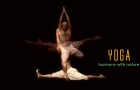 HHR Video : Yoga Harmony with Nature (Full Version)