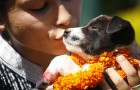 Dogs in Hinduism
