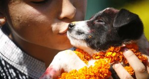 Dogs in Hinduism