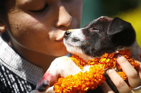  honden in het hindoeïsme