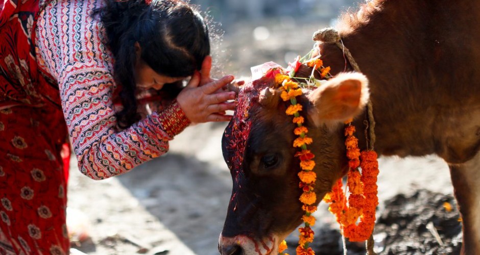 No Beef Eating in Hinduism : Time to end the mischief