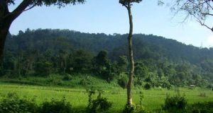 North East India : Hindu cremation ground vandalized by Christian Group