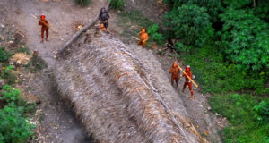 ‘lost’ Amazon tribals are ‘killed, chopped up and thrown in river by Gold miners