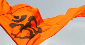 Video : After a few Hindus arrested for flying Saffron Flag ,Whole town Flies Saffron Flag