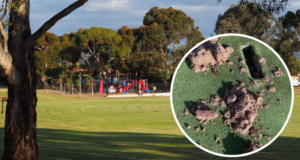 Video : Indian Australians targeted by dumping beef on cricket pitch in a Hinduphobic racist attack