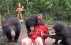 Video : India- Bears at Mungai Mata Mandir