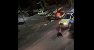 Video : Young Cow Rammed By Police Car Angers UK Public