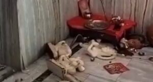 Video : India – Far Right Islamists Destroy Hindu Deities In Temple