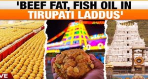 Video :  Beef Fat Used Making Laddu Prashad At Tirupati Temple