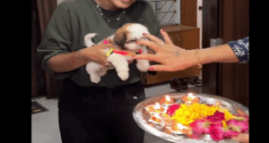 Video : Hindu Welcome Puja For Puppy Going Viral