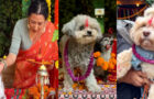 Video : London Celebrates It’s First Kukur Tihar, The Sacred Hindu Day Of The Dogs