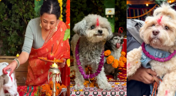 Video : London Celebrates It’s First Kukur Tihar, The Sacred Hindu Day Of The Dogs