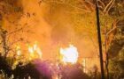 Video : Hindu Homes Set On Fire In Bangladesh