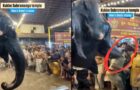 ‘Hindutva’ Elephant Disposes Policeman for Distrupting Hindus From Prayers Goes Viral