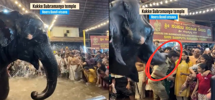 ‘Hindutva’ Elephant Disposes Policeman for Distrupting Hindus From Prayers Goes Viral