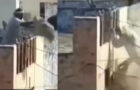 Video : Mullah On The Roof Falls While Throwing Dirt Below On Holi Celebrators