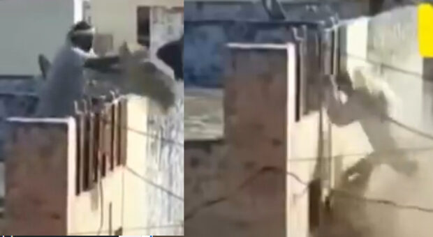 #htmlcaption_49992 Video : Mullah On The Roof Falls While Throwing Dirt Below On Holi Celebrators