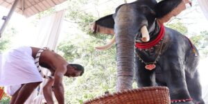 Video : Hindus Turn To Robotic Temple Elephants To End Animal Cruelty